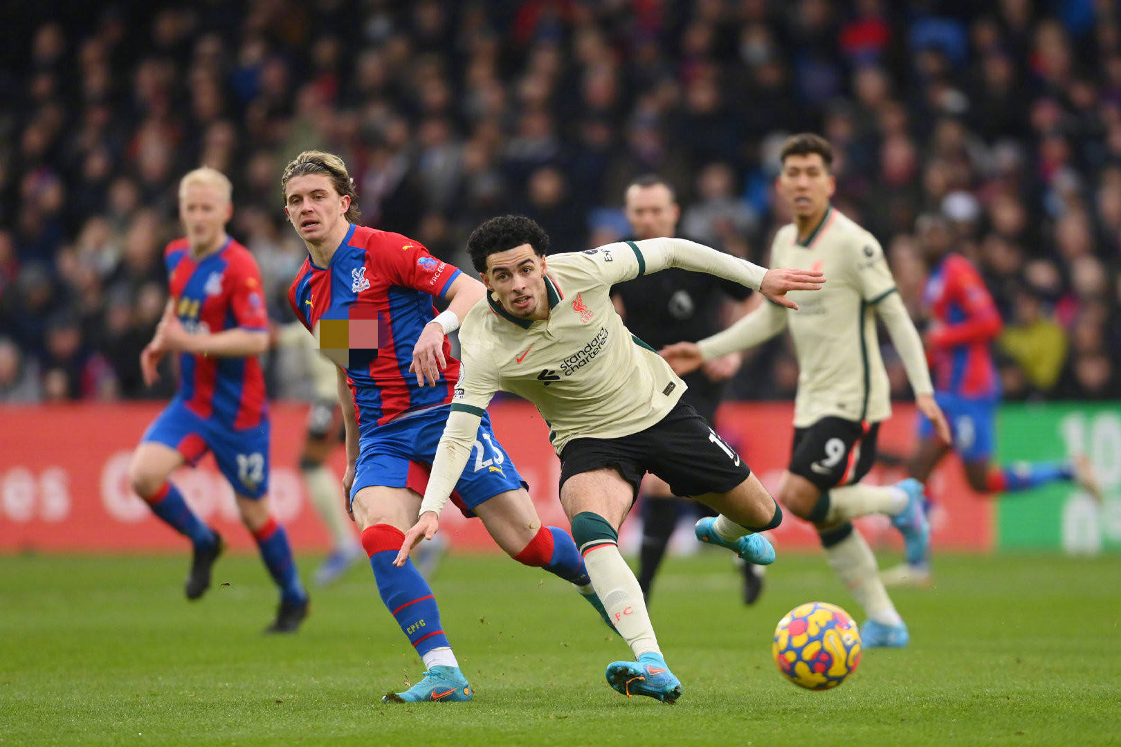 迷领略到内 迷领略到内